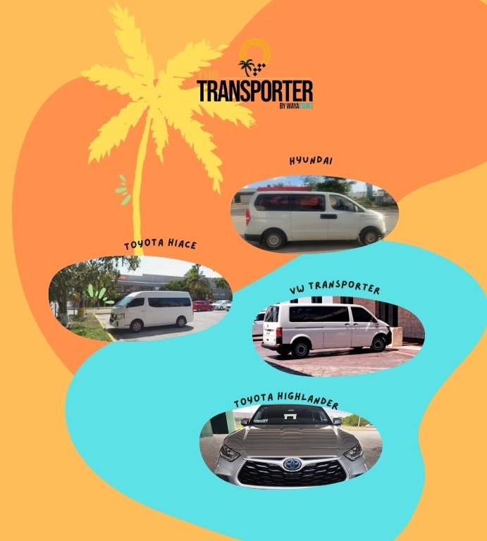Flotte The Transporter